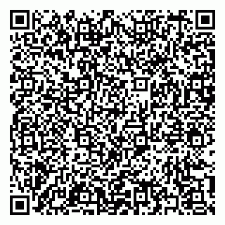 vCard 79397140313
