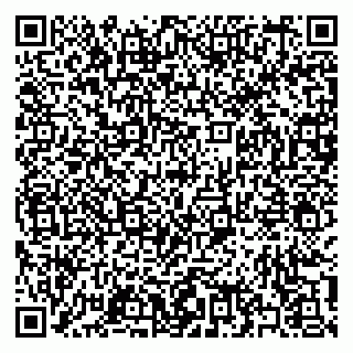vCard 79397140319
