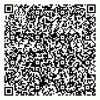 vCard 79397140321