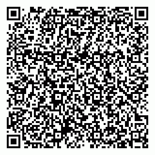 vCard 79397140331