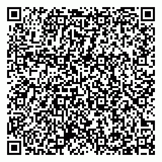 vCard 79397140371
