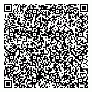 vCard 79397140380