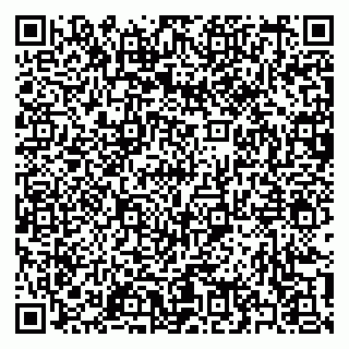 vCard 79397140733