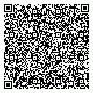 vCard 79397140813