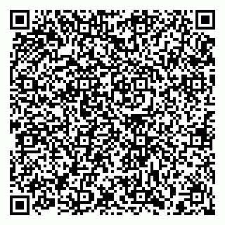 vCard 79397140897