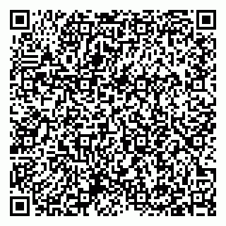 vCard 79397141027