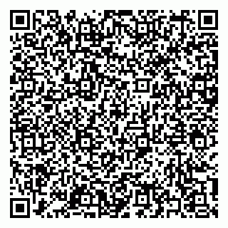 vCard 79397141029