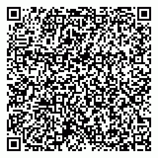 vCard 79397141031