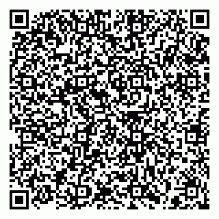 vCard 79397141063
