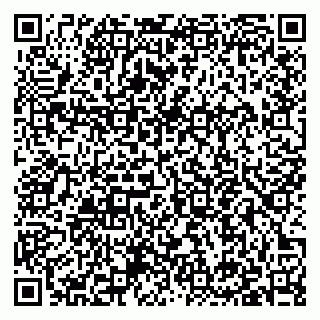 vCard 79397141087