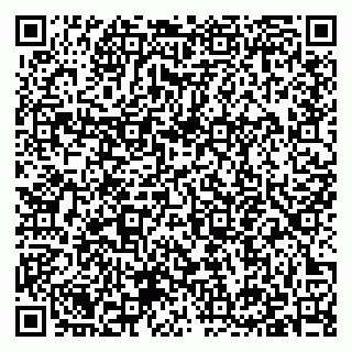 vCard 79397141131