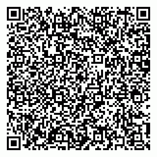 vCard 79397141273