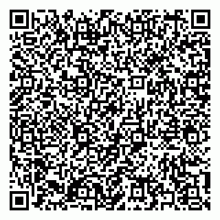 vCard 79397141285