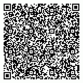 vCard 79397141295
