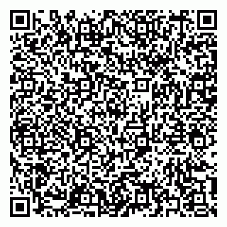 vCard 79397141303
