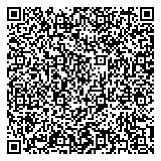 vCard 79397141305