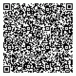 vCard 79397141313
