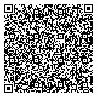 vCard 79397141331