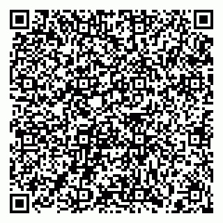vCard 79397141373
