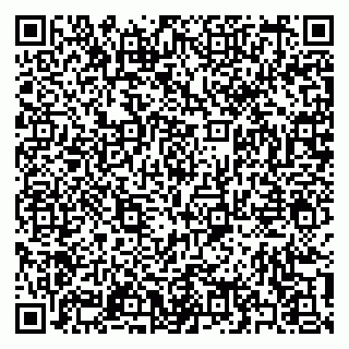 vCard 79397141381