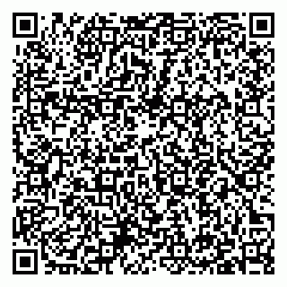 vCard 79397141503