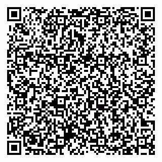 vCard 79397142003