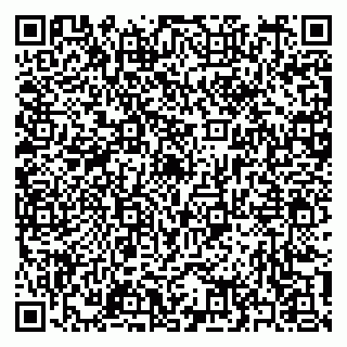 vCard 79397142027