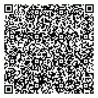 vCard 79397142059