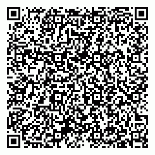 vCard 79397142731