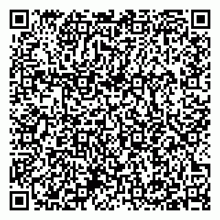 vCard 79397142875