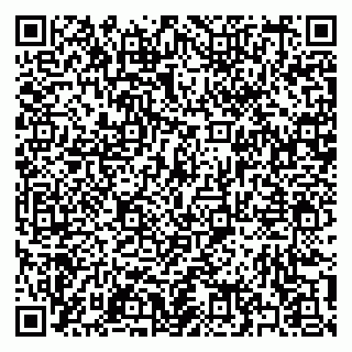 vCard 79397142907