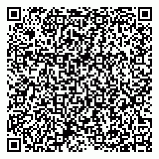 vCard 79397143313