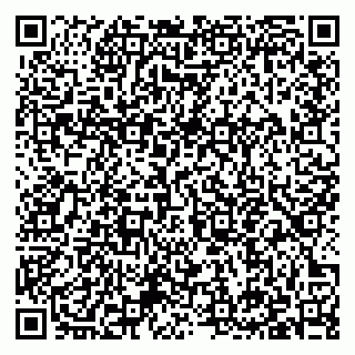 vCard 79397145235