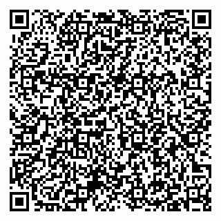 vCard 79397145293