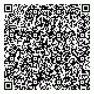 vCard 79397145311