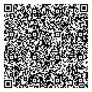 vCard 79397145313