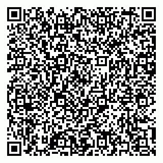 vCard 79397145321