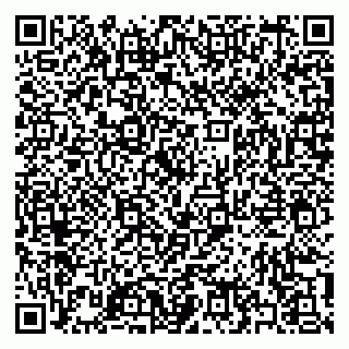 vCard 79397145385