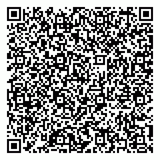 vCard 79397145389