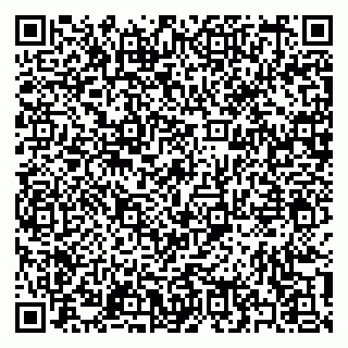 vCard 79397145891