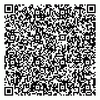 vCard 79397147713