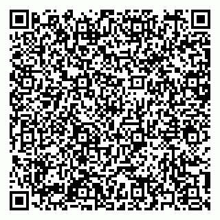 vCard 79397149421