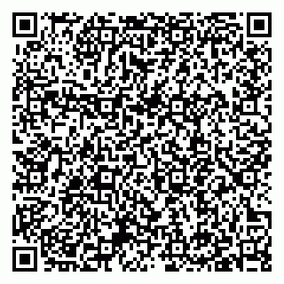 vCard 79397149631