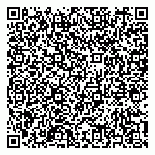 vCard 79397149713