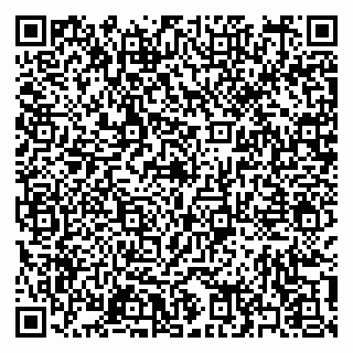 vCard 79397150089