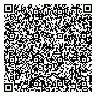 vCard 79397150221