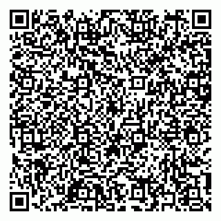 vCard 79397151029