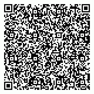 vCard 79397151032