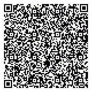 vCard 79397151039
