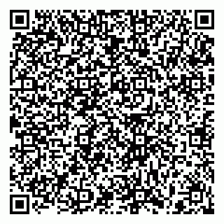 vCard 79397151049